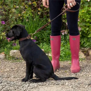 Le Chameau Leather Dog Lead - Dark Brown