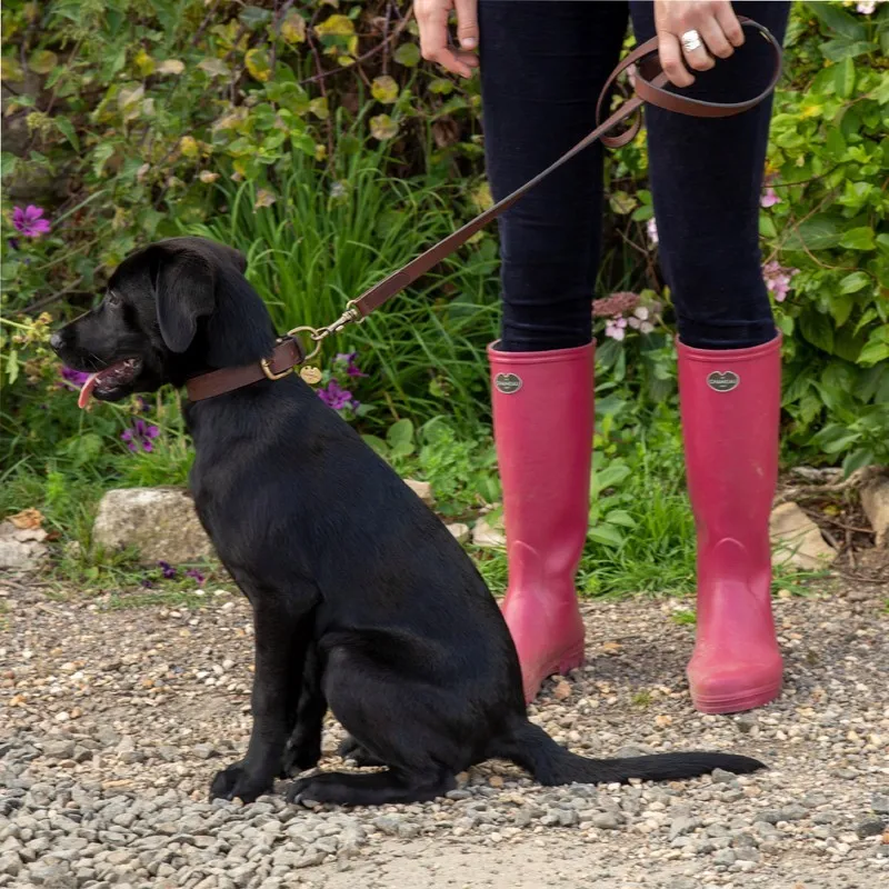 Le Chameau Leather Dog Lead - Dark Brown